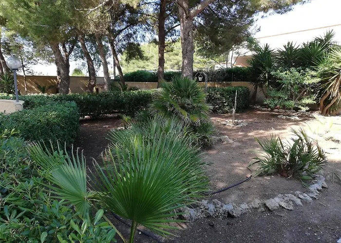 Daire Paradiso House