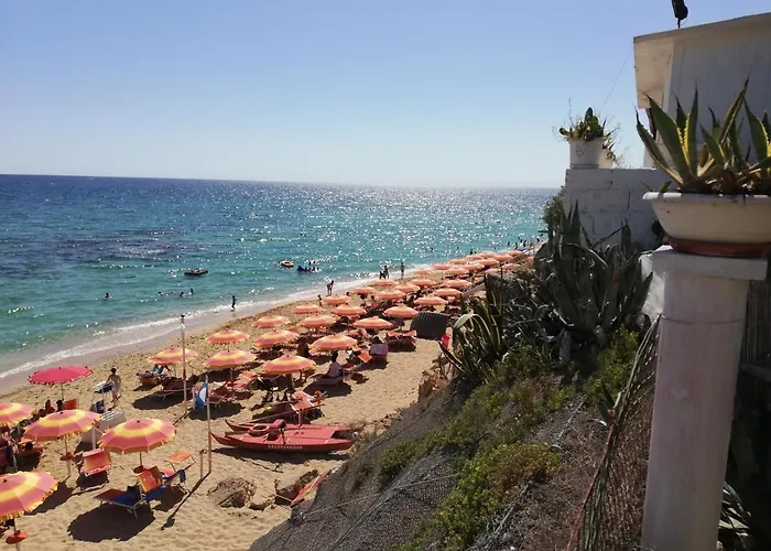 Paradiso House Daire Torre Ovo