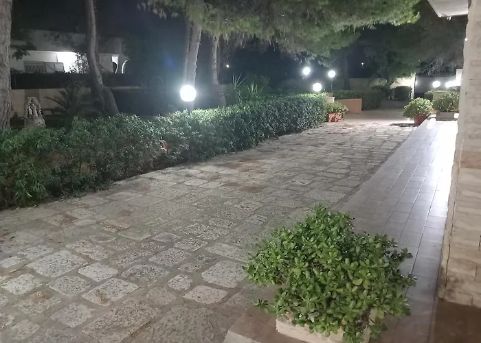 Daire Paradiso House