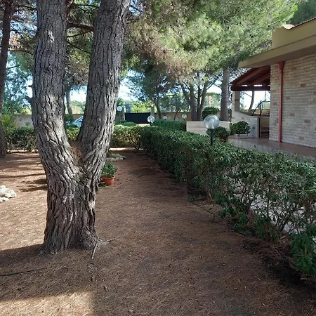 Paradiso House * Torre Ovo