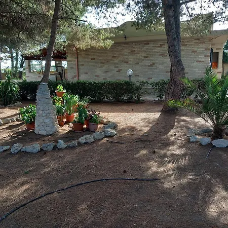 Paradiso House